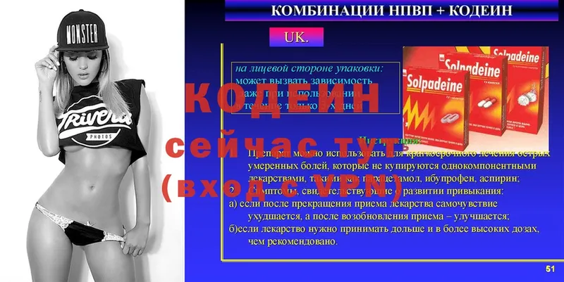 площадка официальный сайт  Дальнегорск  Кодеиновый сироп Lean Purple Drank 